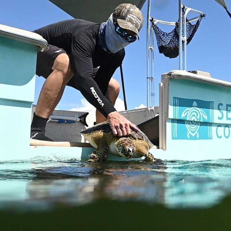 Sea Turtle Conservancy